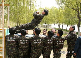 徐州拓展訓練價格、型號規格與服務選購全指南